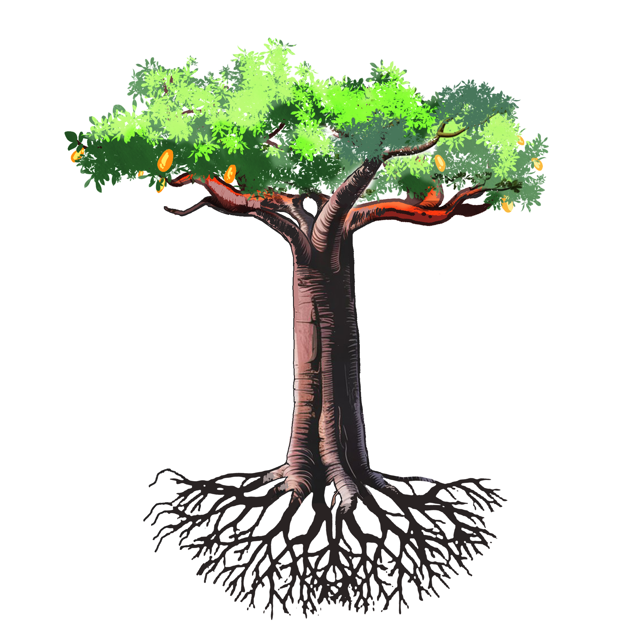 Baobab Azimut